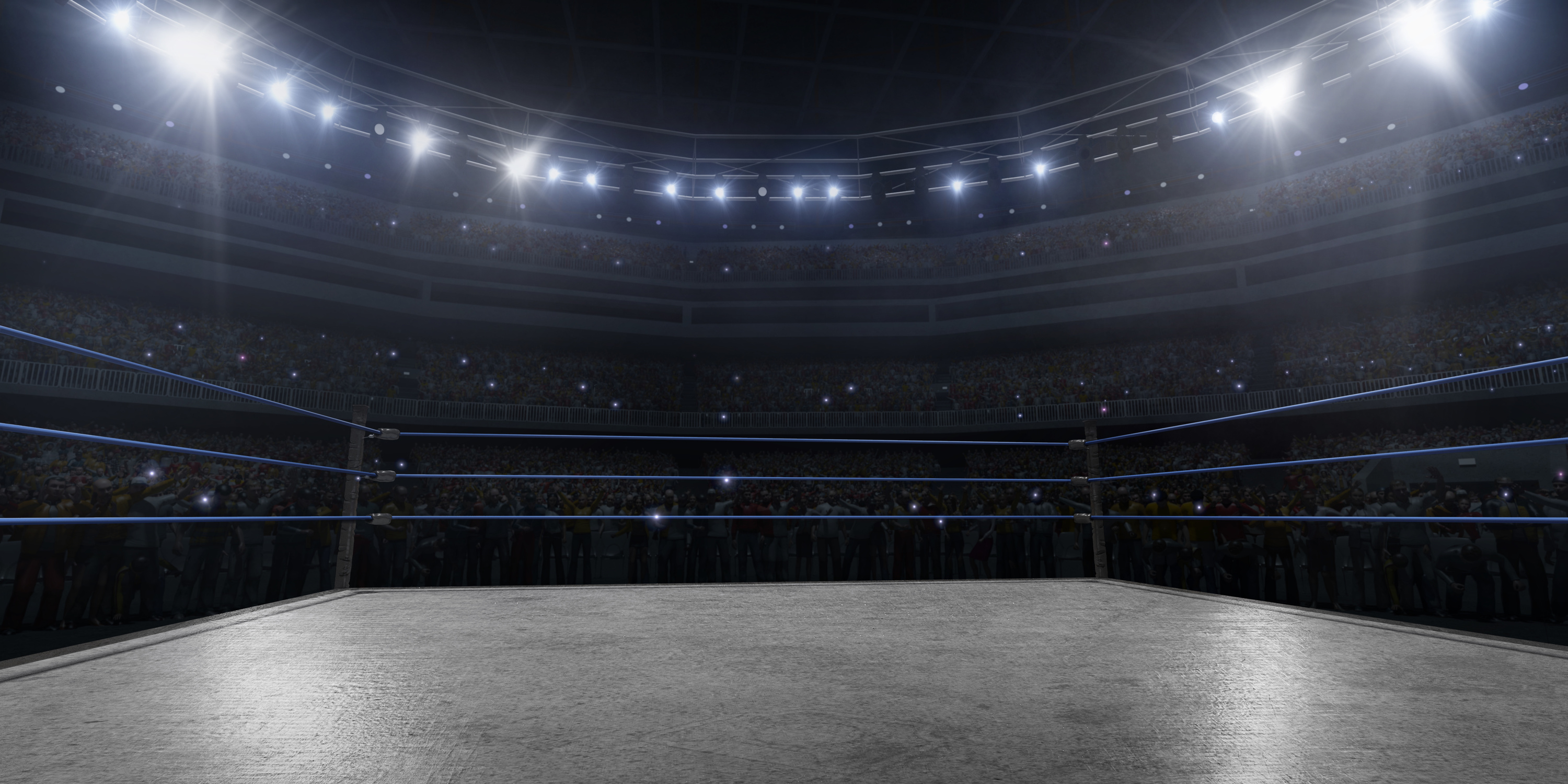 Professional wrestling and boxing ring in 3D